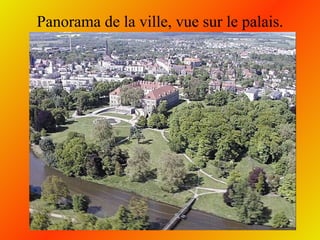 Panorama de la ville, vue sur le palais. 