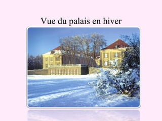 Vue du palais en hiver 