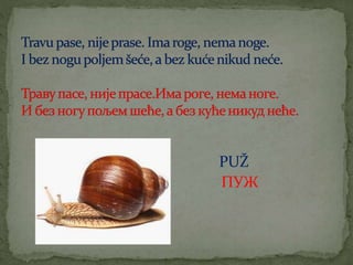PUŽ
ПУЖ
 