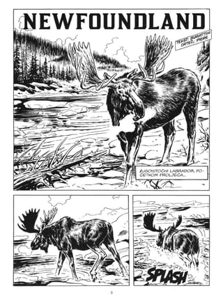 Zagor LUD 299 - Newfoundland.pdf
