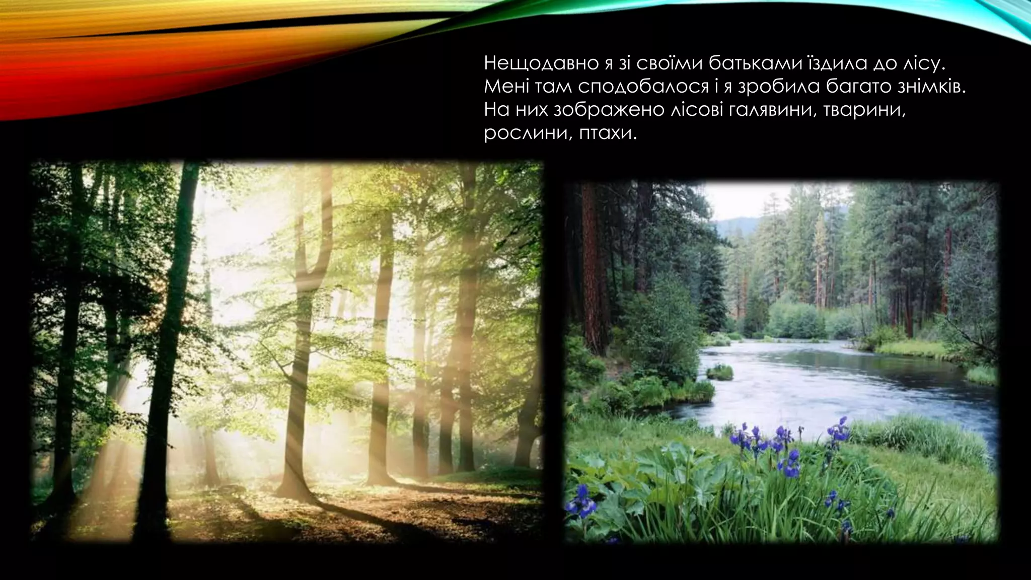 Нещодавно я зі своїми батьками їздила до лісу.
Мені там сподобалося і я зробила багато знімків.
На них зображено лісові галявини, тварини,
рослини, птахи.
 