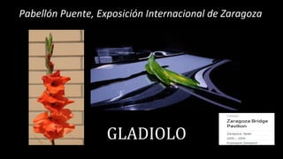 Pabellón Puente, Exposición Internacional de Zaragoza
GLADIOLO
 