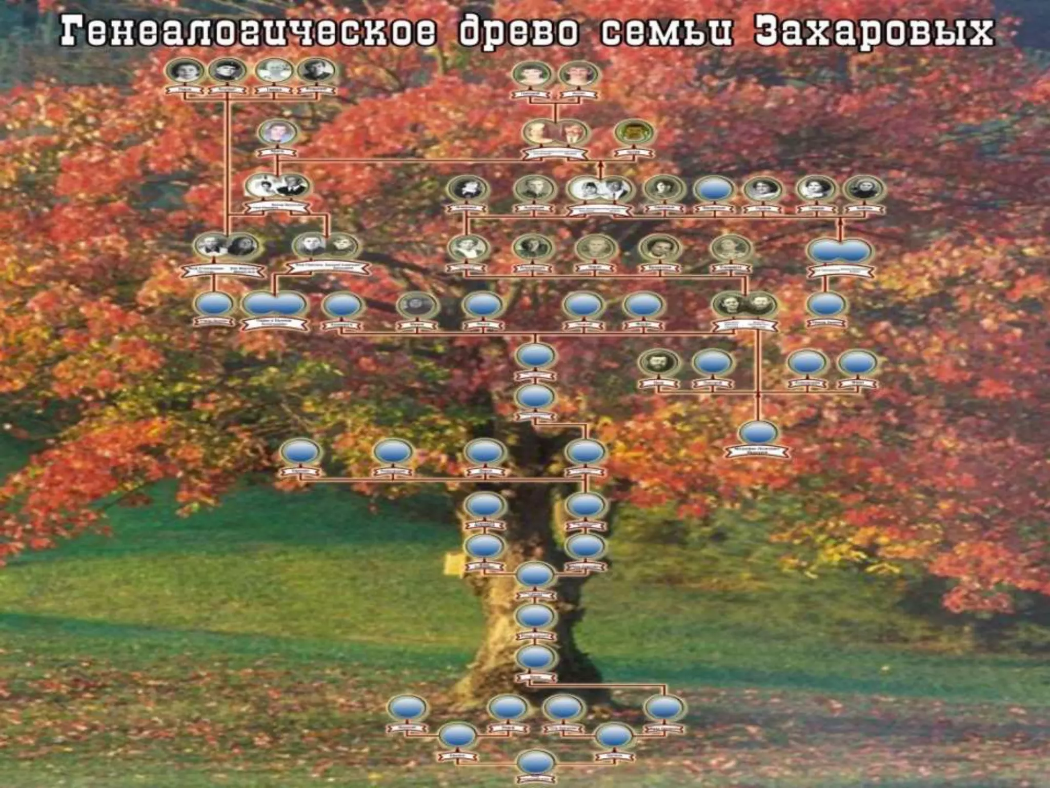 Завершено изучение истории ответвления рода Сатыгиных, переплетающегоя с родами Ивашкеевых, Богатыревых и Захаровых