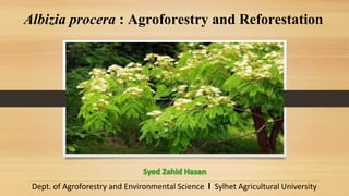 Albizia procera : Agroforestry and Reforestation
Albizia procera
Dept. of Agroforestry and Environmental Science I Sylhet Agricultural University
 