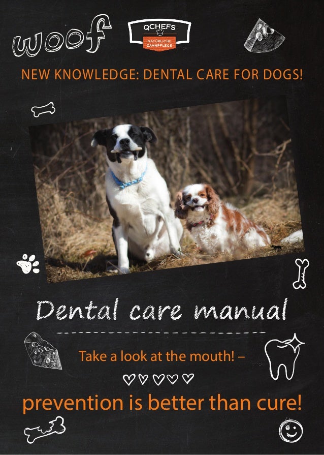 qchefs dental dog chews