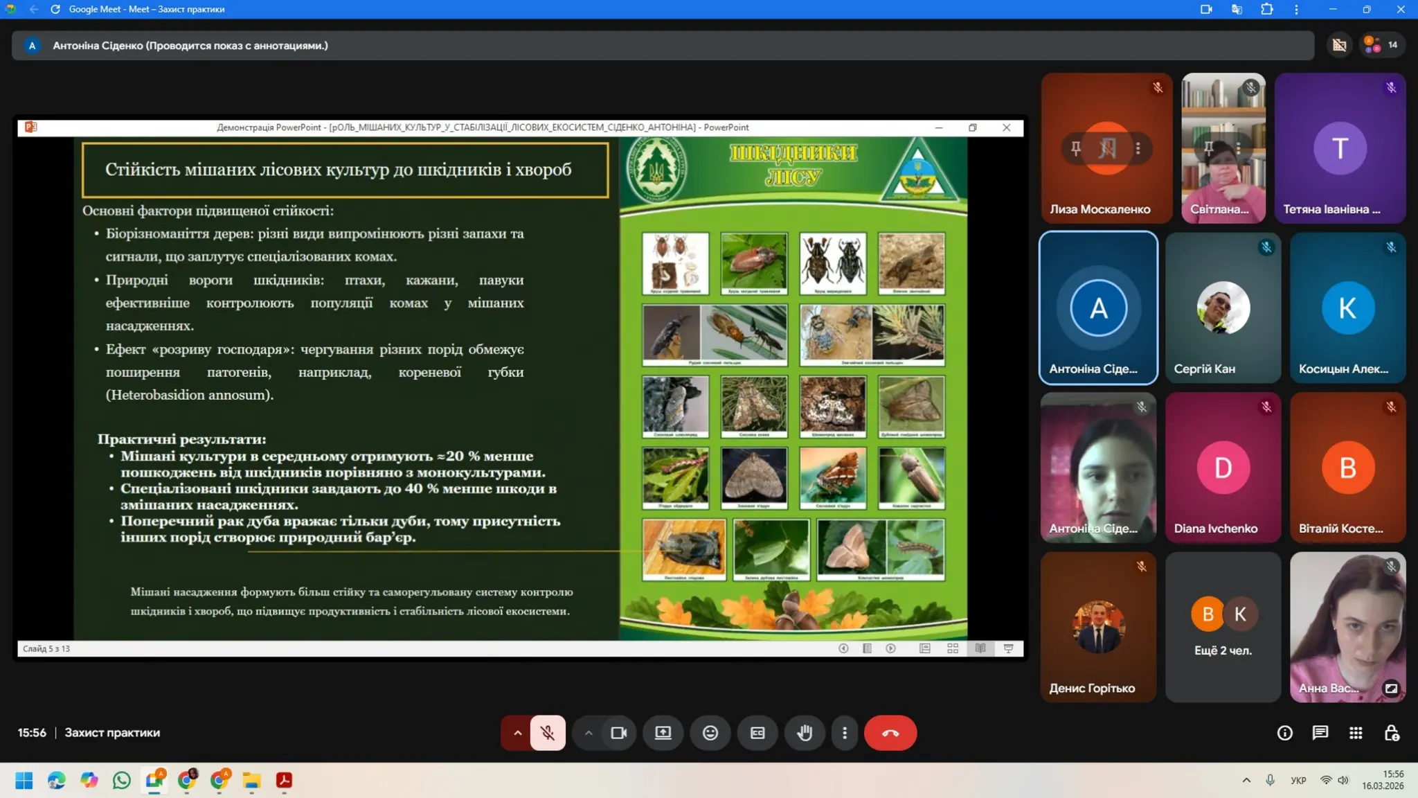 Slide 17