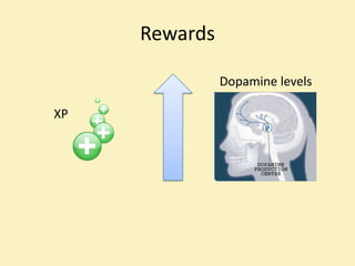 Rewards

               Dopamine levels

XP
 