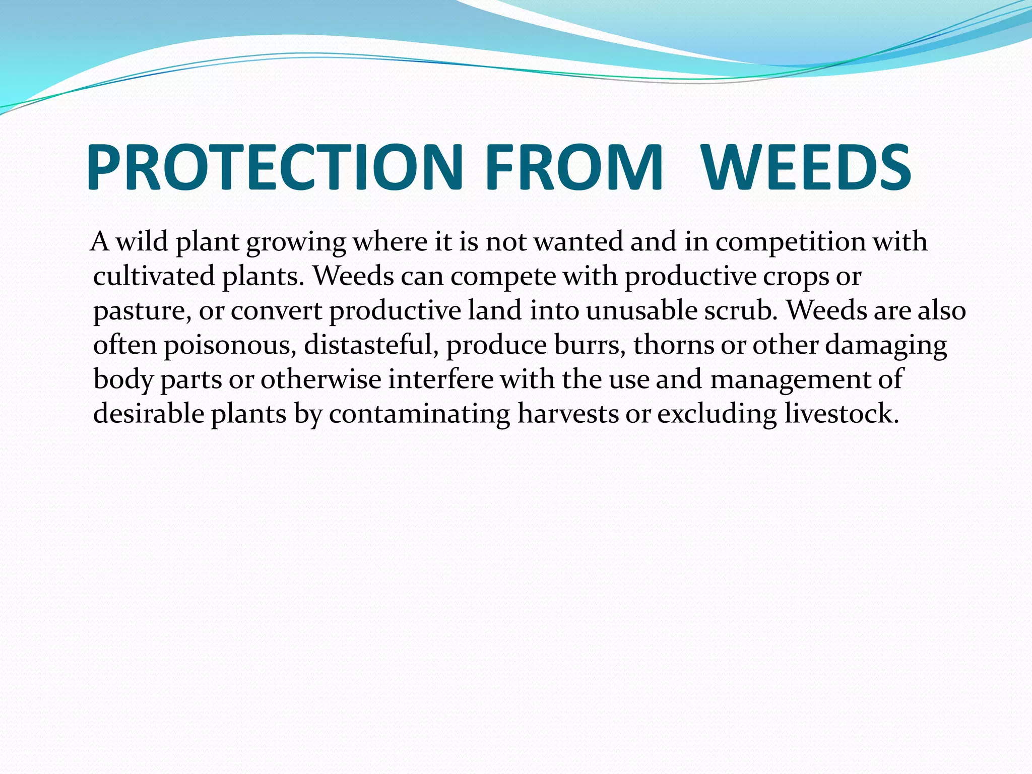 PROTECTION FROM WEEDS
A wild plant growing where it is not wanted and in competition with
cultivated plants. Weeds can compete with productive crops or
pasture, or convert productive land into unusable scrub. Weeds are also
often poisonous, distasteful, produce burrs, thorns or other damaging
body parts or otherwise interfere with the use and management of
desirable plants by contaminating harvests or excluding livestock.
 