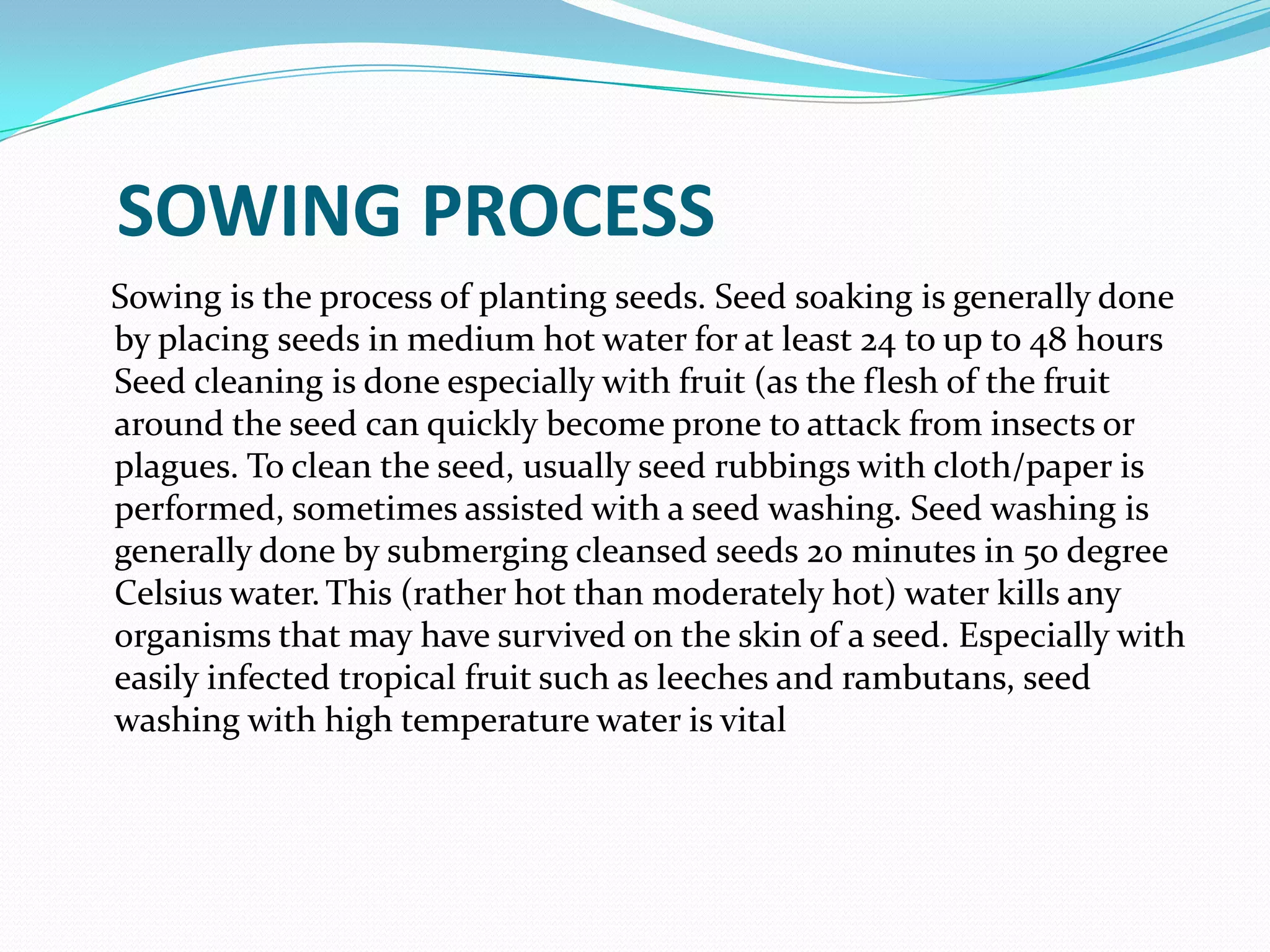 SOWING PROCESS
Sowing is the process of planting seeds. Seed soaking is generally done
by placing seeds in medium hot water for at least 24 to up to 48 hours
Seed cleaning is done especially with fruit (as the flesh of the fruit
around the seed can quickly become prone to attack from insects or
plagues. To clean the seed, usually seed rubbings with cloth/paper is
performed, sometimes assisted with a seed washing. Seed washing is
generally done by submerging cleansed seeds 20 minutes in 50 degree
Celsius water. This (rather hot than moderately hot) water kills any
organisms that may have survived on the skin of a seed. Especially with
easily infected tropical fruit such as leeches and rambutans, seed
washing with high temperature water is vital
 