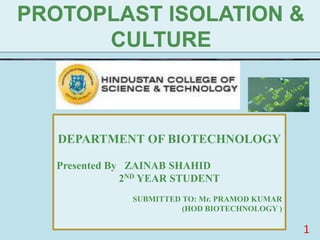 1
DEPARTMENT OF BIOTECHNOLOGY
Presented By ZAINAB SHAHID
2ND YEAR STUDENT
SUBMITTED TO: Mr. PRAMOD KUMAR
(HOD BIOTECHNOLOGY )
 