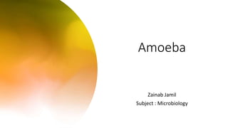 Amoeba
Zainab Jamil
Subject : Microbiology
 
