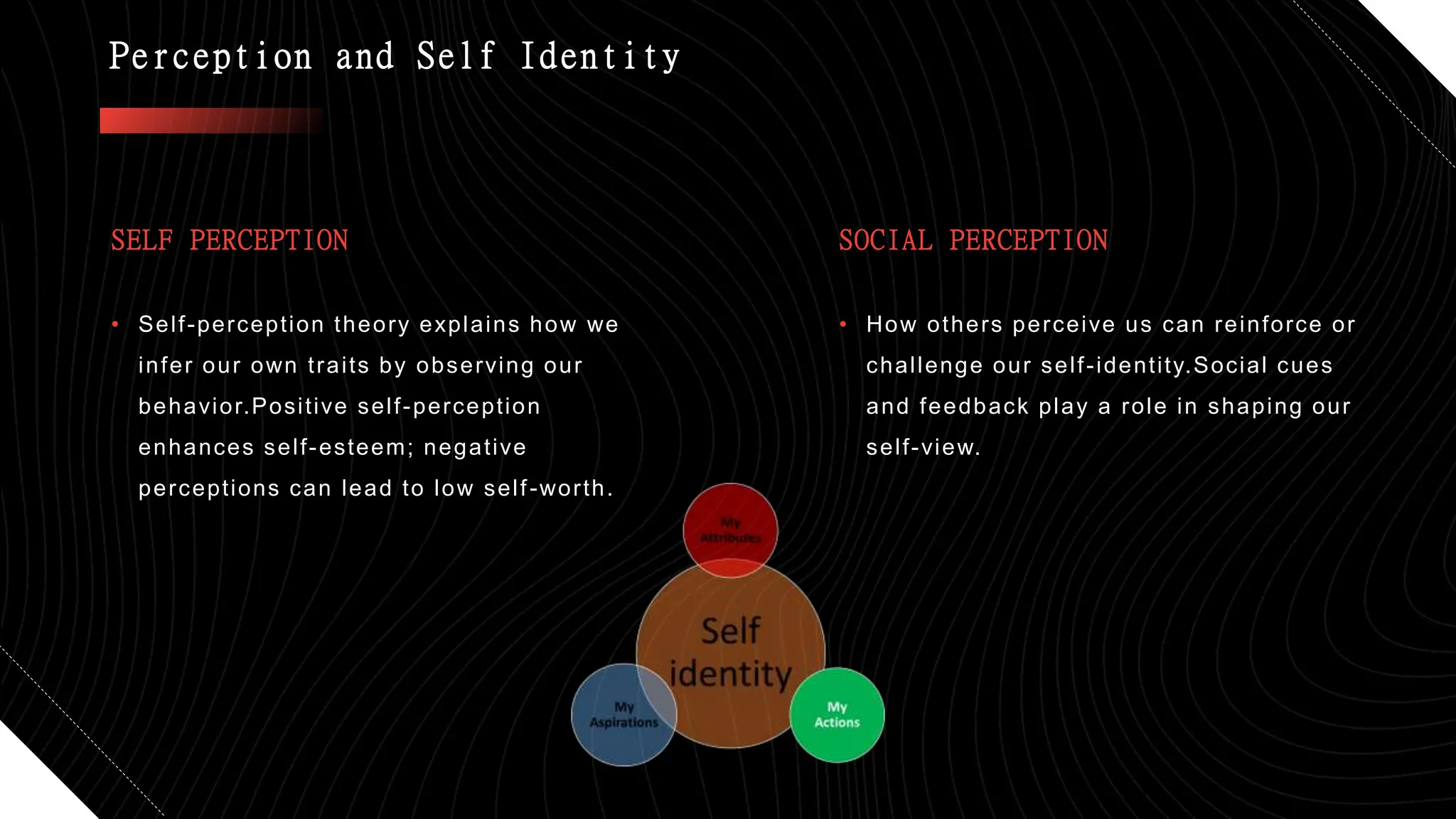 preseption-personality-presentation-pptx