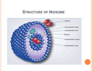 STRUCTURE OF NIOSOME
 