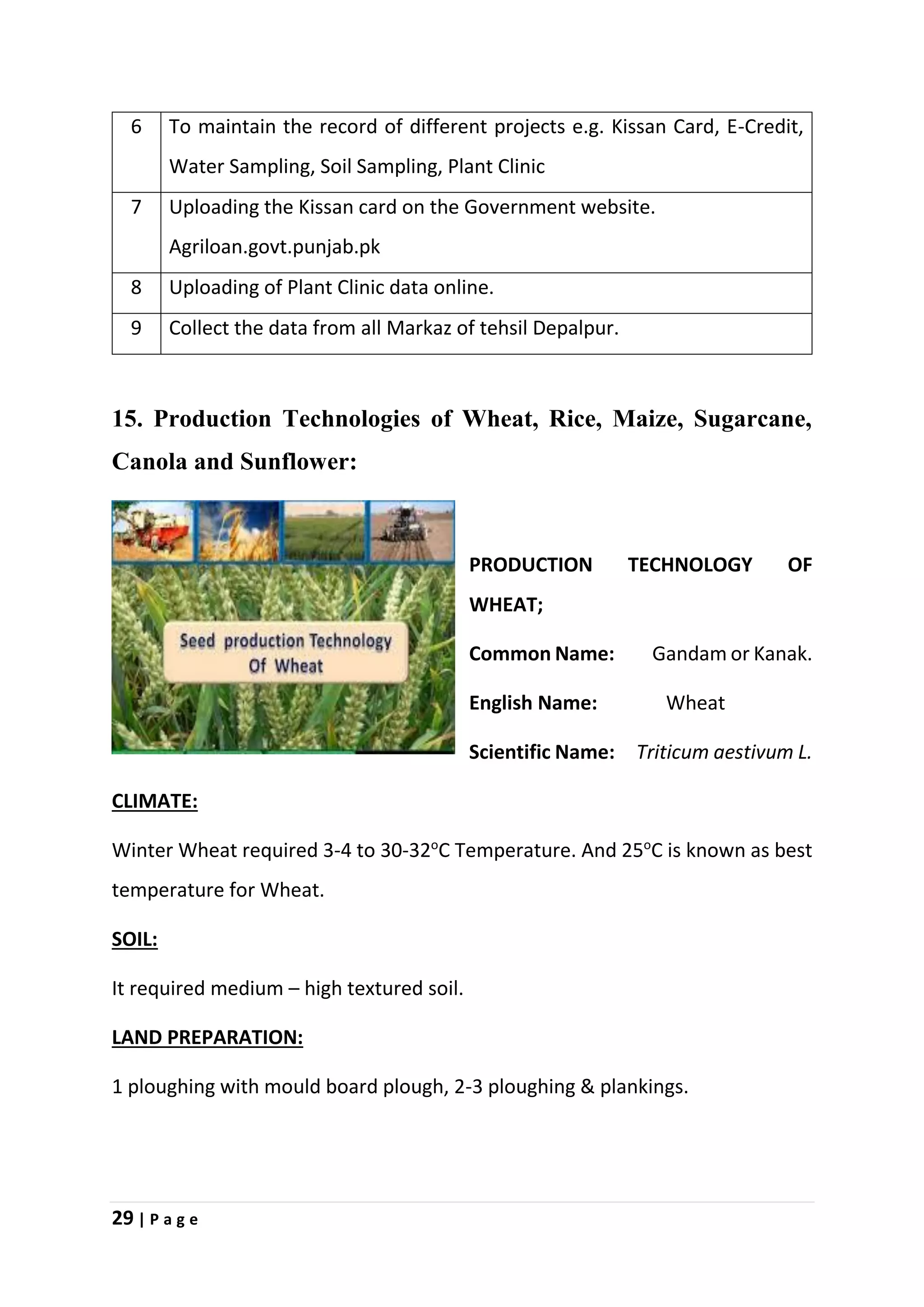 29 | P a g e
6 To maintain the record of different projects e.g. Kissan Card, E-Credit,
Water Sampling, Soil Sampling, Plant Clinic
7 Uploading the Kissan card on the Government website.
Agriloan.govt.punjab.pk
8 Uploading of Plant Clinic data online.
9 Collect the data from all Markaz of tehsil Depalpur.
15. Production Technologies of Wheat, Rice, Maize, Sugarcane,
Canola and Sunflower:
PRODUCTION TECHNOLOGY OF
WHEAT;
Common Name: Gandam or Kanak.
English Name: Wheat
Scientific Name: Triticum aestivum L.
CLIMATE:
Winter Wheat required 3-4 to 30-32o
C Temperature. And 25o
C is known as best
temperature for Wheat.
SOIL:
It required medium – high textured soil.
LAND PREPARATION:
1 ploughing with mould board plough, 2-3 ploughing & plankings.
 