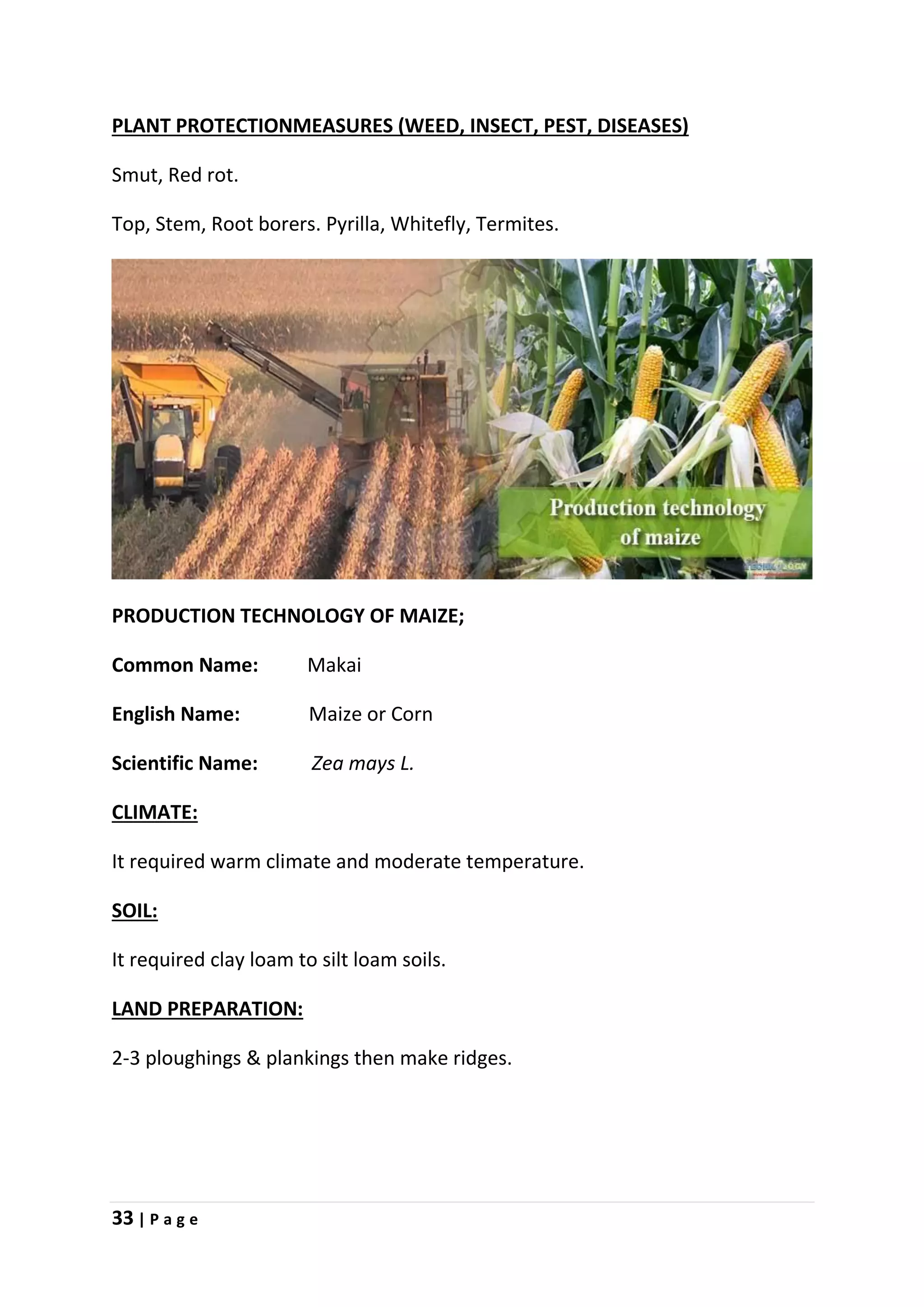 33 | P a g e
PLANT PROTECTIONMEASURES (WEED, INSECT, PEST, DISEASES)
Smut, Red rot.
Top, Stem, Root borers. Pyrilla, Whitefly, Termites.
PRODUCTION TECHNOLOGY OF MAIZE;
Common Name: Makai
English Name: Maize or Corn
Scientific Name: Zea mays L.
CLIMATE:
It required warm climate and moderate temperature.
SOIL:
It required clay loam to silt loam soils.
LAND PREPARATION:
2-3 ploughings & plankings then make ridges.
 