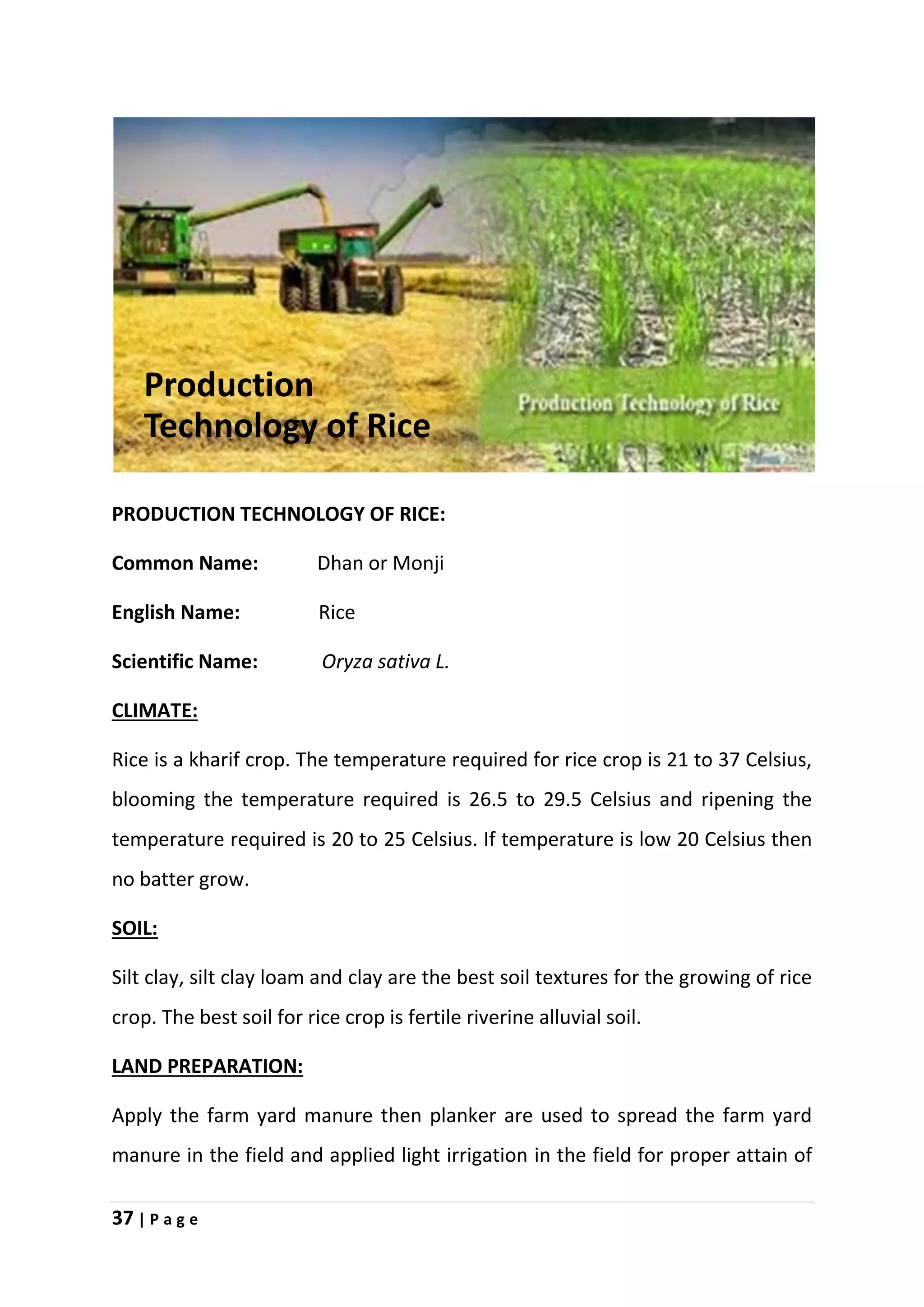 37 | P a g e
PRODUCTION TECHNOLOGY OF RICE:
Common Name: Dhan or Monji
English Name: Rice
Scientific Name: Oryza sativa L.
CLIMATE:
Rice is a kharif crop. The temperature required for rice crop is 21 to 37 Celsius,
blooming the temperature required is 26.5 to 29.5 Celsius and ripening the
temperature required is 20 to 25 Celsius. If temperature is low 20 Celsius then
no batter grow.
SOIL:
Silt clay, silt clay loam and clay are the best soil textures for the growing of rice
crop. The best soil for rice crop is fertile riverine alluvial soil.
LAND PREPARATION:
Apply the farm yard manure then planker are used to spread the farm yard
manure in the field and applied light irrigation in the field for proper attain of
Production
Technology of Rice
 