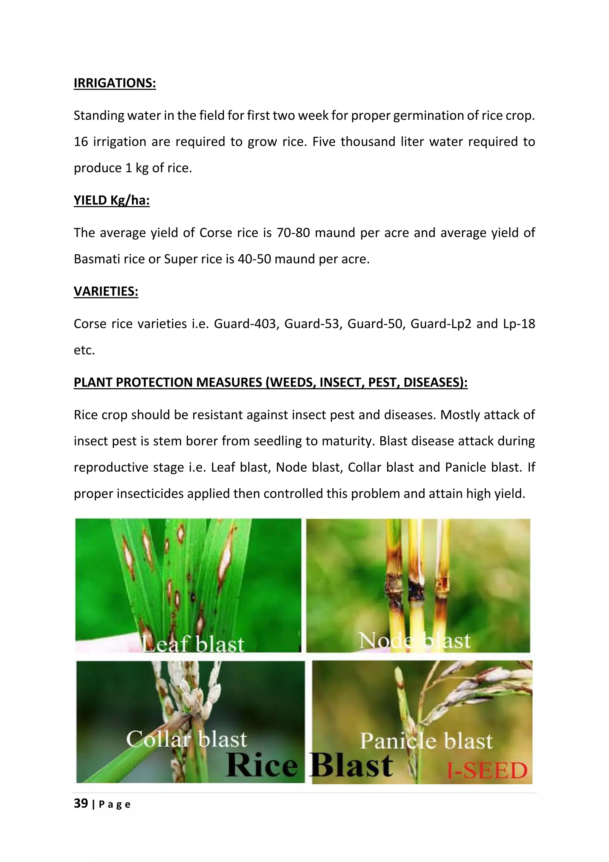 39 | P a g e
IRRIGATIONS:
Standing water in the field for first two week for proper germination of rice crop.
16 irrigation are required to grow rice. Five thousand liter water required to
produce 1 kg of rice.
YIELD Kg/ha:
The average yield of Corse rice is 70-80 maund per acre and average yield of
Basmati rice or Super rice is 40-50 maund per acre.
VARIETIES:
Corse rice varieties i.e. Guard-403, Guard-53, Guard-50, Guard-Lp2 and Lp-18
etc.
PLANT PROTECTION MEASURES (WEEDS, INSECT, PEST, DISEASES):
Rice crop should be resistant against insect pest and diseases. Mostly attack of
insect pest is stem borer from seedling to maturity. Blast disease attack during
reproductive stage i.e. Leaf blast, Node blast, Collar blast and Panicle blast. If
proper insecticides applied then controlled this problem and attain high yield.
 
