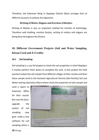 18 | P a g e
Therefore, the Extension Wing in Depalpur District Okara arranges fairs at
different occasion to achieve the objectives.
Writing of Motto, Slogans and Erection of Burjies:
Writing of Mottos is also an important method for transfer of technology.
Therefore wall chalking, erection Burjies, writing of mottos and slogans are
being done throughout the District.
10. Different Government Projects (Soil and Water Sampling,
Kissan Card and E-Credit):
10.1 Soil Sampling:
Soil sampling is a use full project to check the soil properties in tehsil Depalpur
5 markaz perform their duties to complete this task. In this project the field
assistant collect the soil sample from different villages of their markaz and then
these sample send to the Assistant Agricultural Chemist (Soil fertility) Soil and
Water testing Laboratory Okara where check the properties of soils sample and
send a report to
Extension Office
for their record.
But now the Govt.
upgrade the
system of soil
sampling now
govt. make a new
software for soil
sampling which is
 