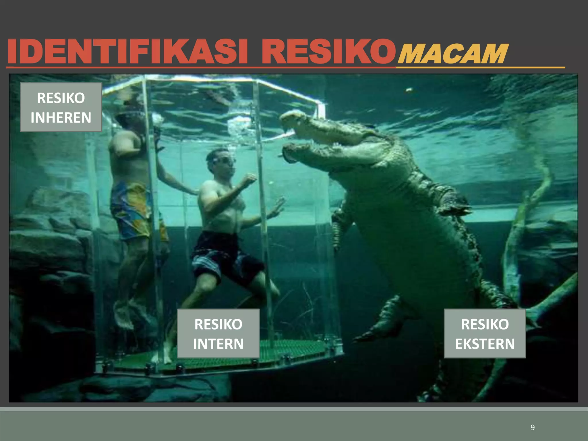 Resiko Hukum Pengadaan Barang Jasa Pemerintah | PDF