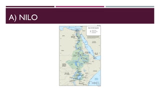 A) NILO
 