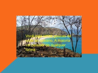 Você joga umas poucas de
volta ao oceano. A maioria
vai perecer de qualquer
forma.
 