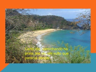 Certo dia, caminhando na
praia, ele viu um vulto que
parecia dançar.
 