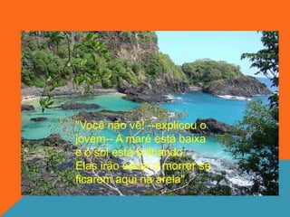 "Você não vê! --explicou o
jovem-- A maré está baixa
e o sol está brilhando.
Elas irão secar e morrer se
ficarem aqui na areia".
 