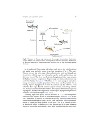 Integrated Agri-Aquaculture Systems                                                              93




Fig. 1 Polyculture of Chinese carp in ponds and the synergies between them. Each species
occupies different food and spatial niches, allowing efﬁcient utilization of resources. Furthermore,
the activity of some species enhances the growth of others, as in the case of common carp and
silver carp


   In the traditional Chinese-carp polyculture, each species has a different food
and spatial niche and also present synergistic interactions (Fig. 1). The major
Chinese carp are the silver carp (Hypophthalmichthys molitrix), bighead carp
(Aristichthys nobilis), grass carp (Ctenopharyngodon idella), and common carp
(Cyprinus carpio). The silver carp feeds on phytoplankton in the water column,
the bighead consumes zooplankton, the grass carp eats plants, and common carp
eat benthos/detritus (Kestemont 1995). There are two main synergistic interactions
among carp species reared in polyculture. First, silver carp fecal pellets rich in
partially digested phytoplankton are eaten by common carp that otherwise could
not utilize these algae. Second, common carp stir up mud, recirculating nutrients
into the water column that interfere with the development of ﬁlamentous algae and
higher plants, thereby increasing nutrient availability for phytoplankton production
and hence food for silver carp (Milstein 1992).
   Relatively high value species also can be found in IAAS, even though their
cultivation often requires the use of more external inputs (Demaine 2009). In this
case, aquaculture is expected to contribute to poverty alleviation more through
employment and foreign exchange, as high value species are generally exported,
instead of supplying cheap protein for the poor. This is a common practice
in Bangladesh, where freshwater prawn has become one of the most important
sources of income for family farmers, after being introduced into ﬁsh polyculture
 