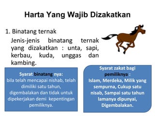 Harta Yang Wajib Dizakatkan
1. Binatang ternak
Jenis-jenis binatang ternak
yang dizakatkan : unta, sapi,
kerbau, kuda, unggas dan
kambing.
Syarat binatang nya:
bila telah mencapai nishab, telah
dimiliki satu tahun,
digembalakan dan tidak untuk
dipekerjakan demi kepentingan
pemiliknya.
Syarat zakat bagi
pemiliknya :
Islam, Merdeka, Milik yang
sempurna, Cukup satu
nisab, Sampai satu tahun
lamanya dipunyai,
Digembalakan.
 