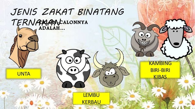 Nishab Zakat Binatang Ternak Dan Jumlah Yang Wajib