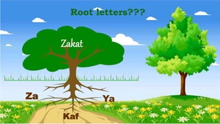 Zakat
Za
Kaf
Ya
Root letters???
 
