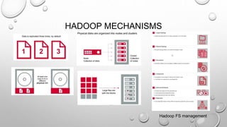 HADOOP MECHANISMS
Hadoop FS management
 