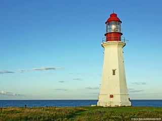 cc-by-sa flickr.com/photos/archer10 
 