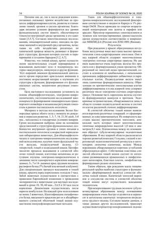 34 POLISH JOURNAL OF SCIENCE № 24, 2020
Питание как до, так и после рождения млеко-
питающих оказывает прямое воздействие на про-
цессы дифференцировки клеток, развитие и станов-
ление тканей, органов и систем организма. Благо-
даря питанию успешно формируются все уровни
функциональных систем живого, обеспечивается
гомеостаз внутренней среды организма и его адап-
тация [3,5,7]. Согласно многочисленным исследо-
ваниям, пищеварительный канал, находясь на гра-
нице внешней и внутренней сред организма, испы-
тывая на себе воздействие различных по
химической природе веществ, развивает и форми-
рует структуры, функции которых состоят в пере-
варивании и создании барьеров [1,2, 6,7].
Известно, что тонкая кишка, кроме осуществ-
ления заключительных стадий переваривания и
всасывания, выполняет экзо- и эндокринную, мо-
торно-эвакуаторную, иммунную и другие функции.
Этот широкий диапазон функциональной деятель-
ности органа определяет пристальное внимание и
постоянно возрастающий интерес к изучению его
структуры и функции, формированию его функци-
ональных систем, механизмам регуляции гомео-
стаза.
Цель настоящего исследования: установить на
основе общеморфологических, электронно-микро-
скопических, гистохимических исследований зако-
номерности формирования пищеварительно-транс-
портного конвейера и механизмы регуляции гомео-
стаза в раннем постнатальном онтогенезе.
Материал и методы исследования. Белые бес-
породные крысы обоего пола c момента их рожде-
ния и периодов развития, 1, 3, 7, 14, 21,30 дней, 3-4
мес., находились в стандартных условиях вивария.
Сроки исследования выбраны нами на основании
представлений о структурно-функциональных осо-
бенностях внутренних органов и типах питания в
постнатальном онтогенезе и возрастной периодиза-
ции лабораторных животных. Для общеморфологи-
ческих и электронно-микроскопических исследова-
ний использовались кусочки ткани фундальной ча-
сти желудка, поджелудочной железы, 12-
типерстной, тощей и подвздошной кишок. Цитофи-
зиология процесса всасывания в слизистой обо-
лочке тонкой кишки, клеточные механизмы ее ре-
гуляции изучены электронно-микроскопически в
динамике после однократного кормления новорож-
денных, 3-, 7 и 14- дневных крыс грудным молоком;
раствором белка (7% бычий или яичный альбумин).
Для синхронизации процесса всасывания в тощей
кишке, крысята перед кормлением голодали 3 часа.
Забой животных осуществляли в соответствии с
правилами Европейской конвенции о проведении
экспериментов с животными для научных исследо-
ваний в сроки 10, 30, 60 мин., 3,6,9 и 24 часа после
кормления. Декапитация осуществлялась после
наркоза нембуталом. На каждый срок использовано
не менее 3 животных. Идентификация специфично-
сти белка, введенного крысятам per os и абсорбиро-
ванного слизистой оболочкой тощей кишки осу-
ществлена иммунофлюоресцентным методом.
Ткань для общеморфологических и элек-
тронно-микроскопических исследований фиксиро-
вана соответственно в жидкости Карнуа и 1% рас-
творе OsO4. После проводки по спиртам возраста-
ющей концентрации они залиты в парафин или
аралдит. Просмотр окрашенных гематоксилином и
эозином или контрастированных уранил-ацетатом
срезов осуществляли соответственно в микроско-
пах МИКМЕД-6 (Россия) или JEМ-100S (Япония).
Результаты.
При рождении у крысят образующиеся неглу-
бокие желудочные ямки выстланы высоко призма-
тическим слизь-секретирующим эпителием. Они в
над ядерной области содержат многочисленные
электронно плотные секреторные гранулы. На дне
ямок выявляются очень короткие железы без про-
света или с формирующимся узким просветом. Об-
разующий их эпителий низко призматический, со-
стоит в основном из камбиальных, с начальными
признаками дифференцировки добавочных и пари-
етальных клеток. Поджелудочная железа имеет
лишь единичные формирующиеся ацинусы. Обра-
зующие их призматические эпителиальные клетки
дифференцированы и в над ядерной зоне содержат
различное число электронно плотных секреторных
гранул. Основная часть паренхимы железы состоит
из формирующихся ацинусов и протоков. Эндо-
кринные островки мелкие, обнаруживаются лишь в
области головки поджелудочной железы и состоят
из клеток различной степени дифференцировки.
В слизистой оболочке тощей кишки выявля-
ются ворсинки различных генераций: от сформиро-
ванных до едва намечающихся. Их поверхность вы-
стлана высоко призматическим эпителием, апи-
кальная часть которых имеет многочисленные
типичные микроворсинки высотой 1,0 мкм и диа-
метром 0,1 мкм. Плазмолемма между их основани-
ями образует тубуло-везикулярные эндоцитозные
образования. В над ядерной области располагается
хорошо развитый комплекс Гольджи, гладкий и ше-
роховатый эндоплазматический ретикулум и мито-
хондрии; лизосомы единичные, мелкие. Между
ворсинками обнаруживаются короткие углубления
образующихся крипт. Собственная пластинка сли-
зистой оболочки тощей кишки состоит из интен-
сивно развивающихся кровеносных и лимфатиче-
ских капилляров, бластных клеток, лимфобластов,
формирующих редкие скопления.
Таким образом, при рождении вдоль пищева-
рительной трубки наиболее структурно и функцио-
нально сформированной является слизистая обо-
лочка тонкой кишки. Каемчатый эпителий ворси-
нок и сосудистая система в слизистой оболочке
тощей кишки могут осуществлять всасывание
эндоцитозом.
При вскармливании грудным молоком тубуло-
везикулярные образования между основаниями
микроворсинок очень быстро отделяются и перено-
сят в цитоплазму каемчатых энтероцитов ингреди-
енты грудного молока. Согласно нашим данным, а
также данным других исследователей, транспорт
осуществляется рецептор-опосредованным эндоци-
 