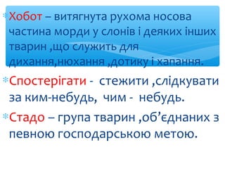 ∗Хобот – витягнута рухома носова
частина морди у слонів і деяких інших
тварин ,що служить для
дихання,нюхання ,дотику і ха...