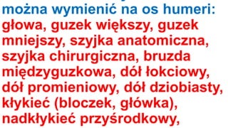 można wymienić na os humeri:
głowa, guzek większy, guzek
mniejszy, szyjka anatomiczna,
szyjka chirurgiczna, bruzda
międzyguzkowa, dół łokciowy,
dół promieniowy, dół dziobiasty,
kłykieć (bloczek, główka),
nadkłykieć przyśrodkowy,

 