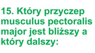 15. Który przyczep
musculus pectoralis
major jest bliższy a
który dalszy:

 
