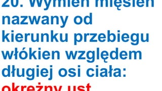 20. Wymień mięsień
nazwany od
kierunku przebiegu
włókien względem
długiej osi ciała:

 
