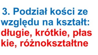 3. Podział kości ze
względu na kształt:
długie, krótkie, płas
kie, różnokształtne

 
