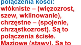 połączenia kości:
włókniste – (więzozrost,
szew, wklinowanie),
chrzęstne – (spojenie,
chrząstkozrost). Są to
połączenia ścisłe.

 