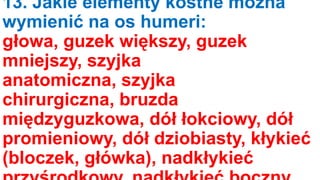 13. Jakie elementy kostne można
wymienić na os humeri:
głowa, guzek większy, guzek
mniejszy, szyjka
anatomiczna, szyjka
chirurgiczna, bruzda
międzyguzkowa, dół łokciowy, dół
promieniowy, dół dziobiasty, kłykieć
(bloczek, główka), nadkłykieć

 