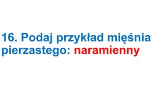 16. Podaj przykład mięśnia
pierzastego: naramienny

 