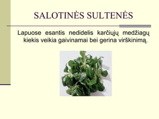 SALOTINĖS SULTENĖS
Lapuose esantis nedidelis karčiųjų medžiagų
  kiekis veikia gaivinamai bei gerina virškinimą.
 