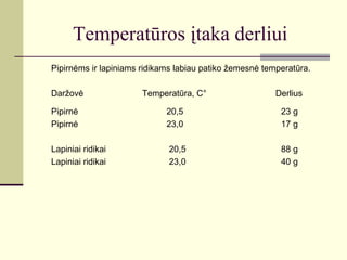 Temperatūros įtaka derliui
Pipirnėms ir lapiniams ridikams labiau patiko žemesnė temperatūra.

Daržovė                Temperatūra, C°                   Derlius

Pipirnė                      20,5                         23 g
Pipirnė                      23,0                         17 g

Lapiniai ridikai              20,5                        88 g
Lapiniai ridikai              23,0                        40 g
 