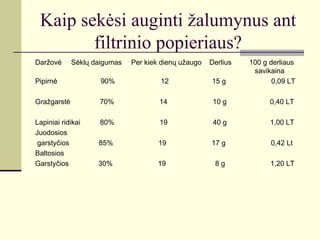 Kaip sekėsi auginti žalumynus ant
        filtrinio popieriaus?
Daržovė      Sėklų daigumas   Per kiek dienų užaugo   Derlius   100 g derliaus
                                                                 savikaina
Pipirnė              90%              12              15 g             0,09 LT

Gražgarstė          70%               14               10 g           0,40 LT

Lapiniai ridikai     80%              19               40 g           1,00 LT
Juodosios
 garstyčios         85%               19              17 g            0,42 Lt
Baltosios
Garstyčios          30%              19                8g             1,20 LT
 