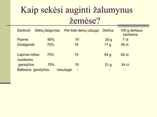 Kaip sekėsi auginti žalumynus
              žemėse?
Daržovė      Sėklų daigumas   Per kiek dienų užaugo   Derlius   100 g derliaus
                                                                 savikaina
Pipirnė            90%              19                 20 g      7 ct
Gražgarstė         70%              19                 11 g     36 ct

Lapiniai ridikai   75%          19                     64 g     62 ct
Juodosios
 garstyčios        70%          19                     21 g     34 ct
Baltosios garstyčios   nesudygo -                        -        -
 