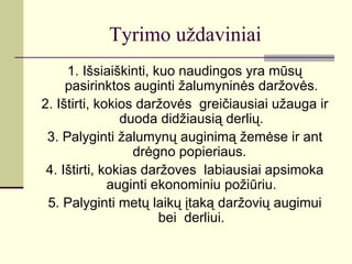 Tyrimo uždaviniai
     1. Išsiaiškinti, kuo naudingos yra mūsų
     pasirinktos auginti žalumyninės daržovės.
2. Ištirti, kokios daržovės greičiausiai užauga ir
                duoda didžiausią derlių.
 3. Palyginti žalumynų auginimą žemėse ir ant
                  drėgno popieriaus.
 4. Ištirti, kokias daržoves labiausiai apsimoka
              auginti ekonominiu požiūriu.
 5. Palyginti metų laikų įtaką daržovių augimui
                       bei derliui.
 