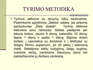 TYRIMO METODIKA
 Tyrimus atlikome su devynių rūšių daržovėmis.
  Pasirinkome agrofirmos „Sėklos“ sėklas, jas pirkome
  parduotuvėje „Žalia stotelė“.      Tyrimą atlikome
  kiekviena savo namuose. Sėklas pasėjome per
  keturis kartus: sausio 9 dieną; balandžio 10 dieną;
  liepos 1 dieną ir spalio 1 dieną. Sėjome dviem
  būdais: į vazonėlius su žemėmis ir į lėkštutes su
  drėgnu filtriniu popieriumi, po 20 sėklų į kiekvieną
  indelį. Stebėjome sėklų sudygimą, daigų augimą,
  svėrėme derlių, įvertinome žalumynų skonį bei
  paskaičiavome jų derliaus savikainą.
 