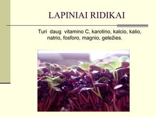 LAPINIAI RIDIKAI
Turi daug vitamino C, karotino, kalcio, kalio,
    natrio, fosforo, magnio, geležies.
 