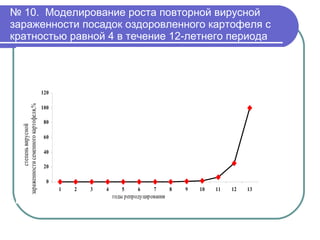 №  10.  Моделирование роста повторной вирусной зараженности посадок оздоровленного картофеля с кратностью равной 4 в течение 12-летнего периода 